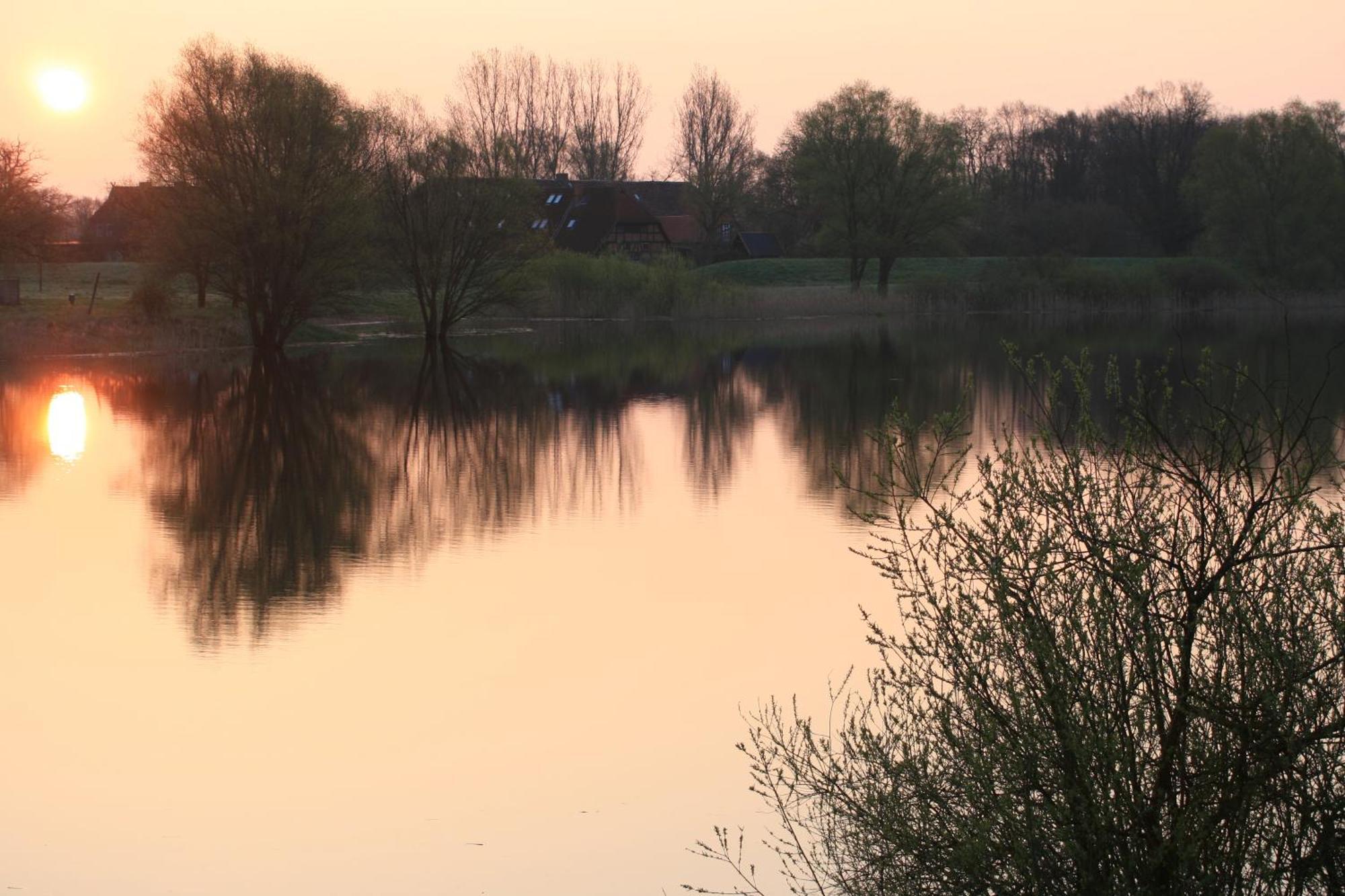 Hotel Seeblick Garni Gartow エクステリア 写真