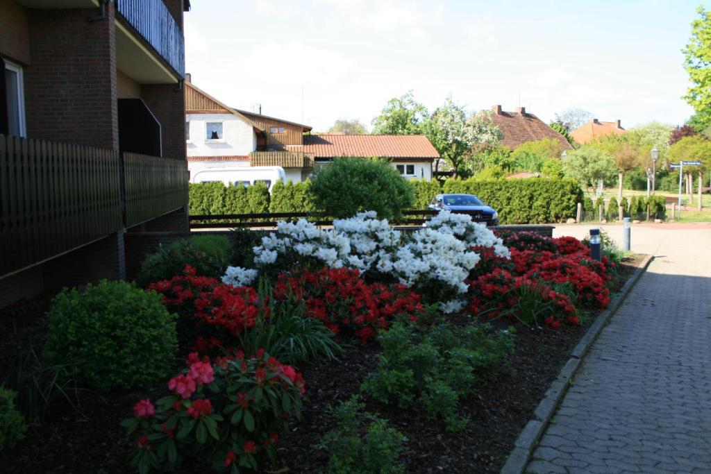 Hotel Seeblick Garni Gartow エクステリア 写真